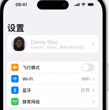 金口河appleID维修服务iPhone设置中Apple ID显示为灰色无法使用