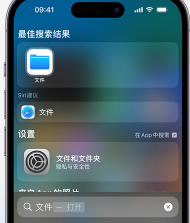 金口河apple维修中心分享iPhone文件应用中存储和找到下载文件 