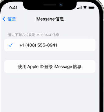 金口河apple维修iPhone上无法正常发送iMessage信息 