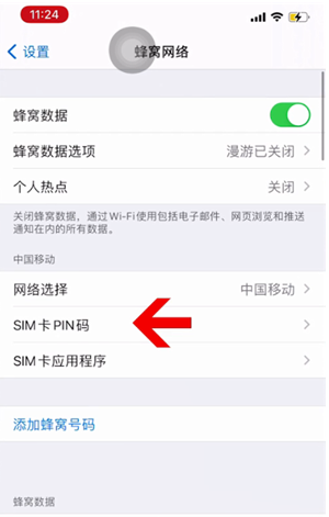 金口河苹果14维修网分享如何给iPhone14的SIM卡设置密码 