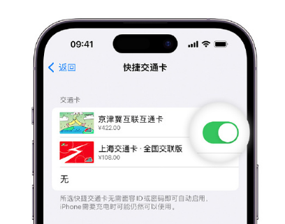 金口河apple维修点分享iPhone上更换Apple Pay快捷交通卡手绘卡面 