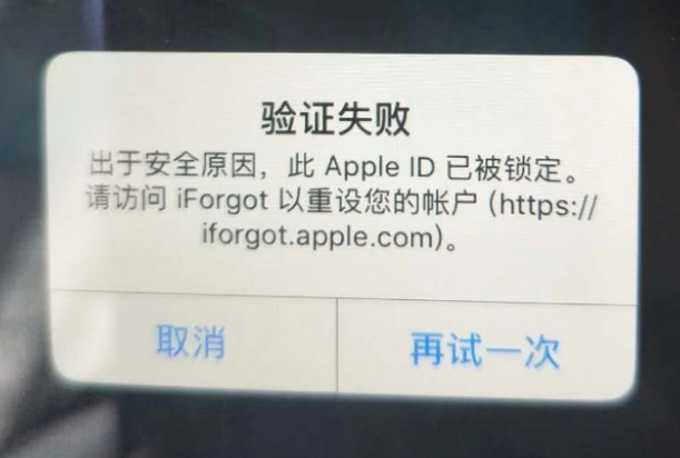 金口河iPhone维修分享iPhone上正常登录或使用AppleID怎么办 