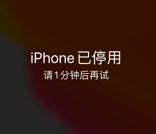 金口河苹果手机维修分享:iPhone 显示“不可用”或“已停用”怎么办？还能保留数据吗？ 