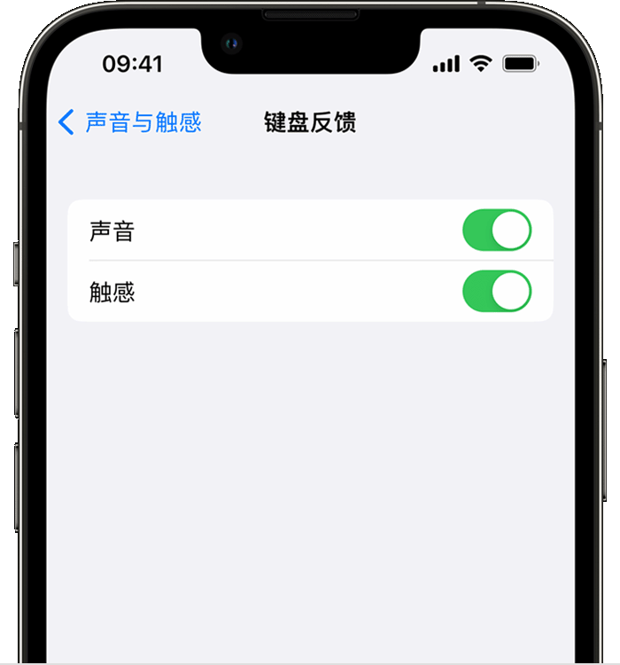 金口河苹果14维修店分享如何在 iPhone 14 机型中使用触感键盘 