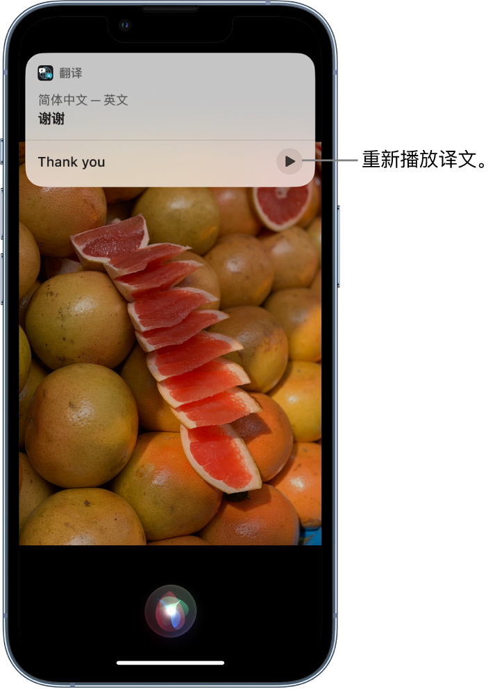 金口河苹果14维修分享 iPhone 14 机型中使用 Siri：了解 Siri 能帮你做什么 