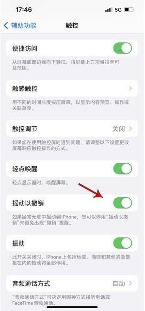 金口河苹果手机维修分享iPhone手机如何设置摇一摇删除文字 